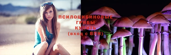 spice Переславль-Залесский