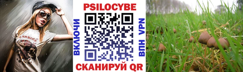 Псилоцибиновые грибы прущие грибы купить наркотик Агидель